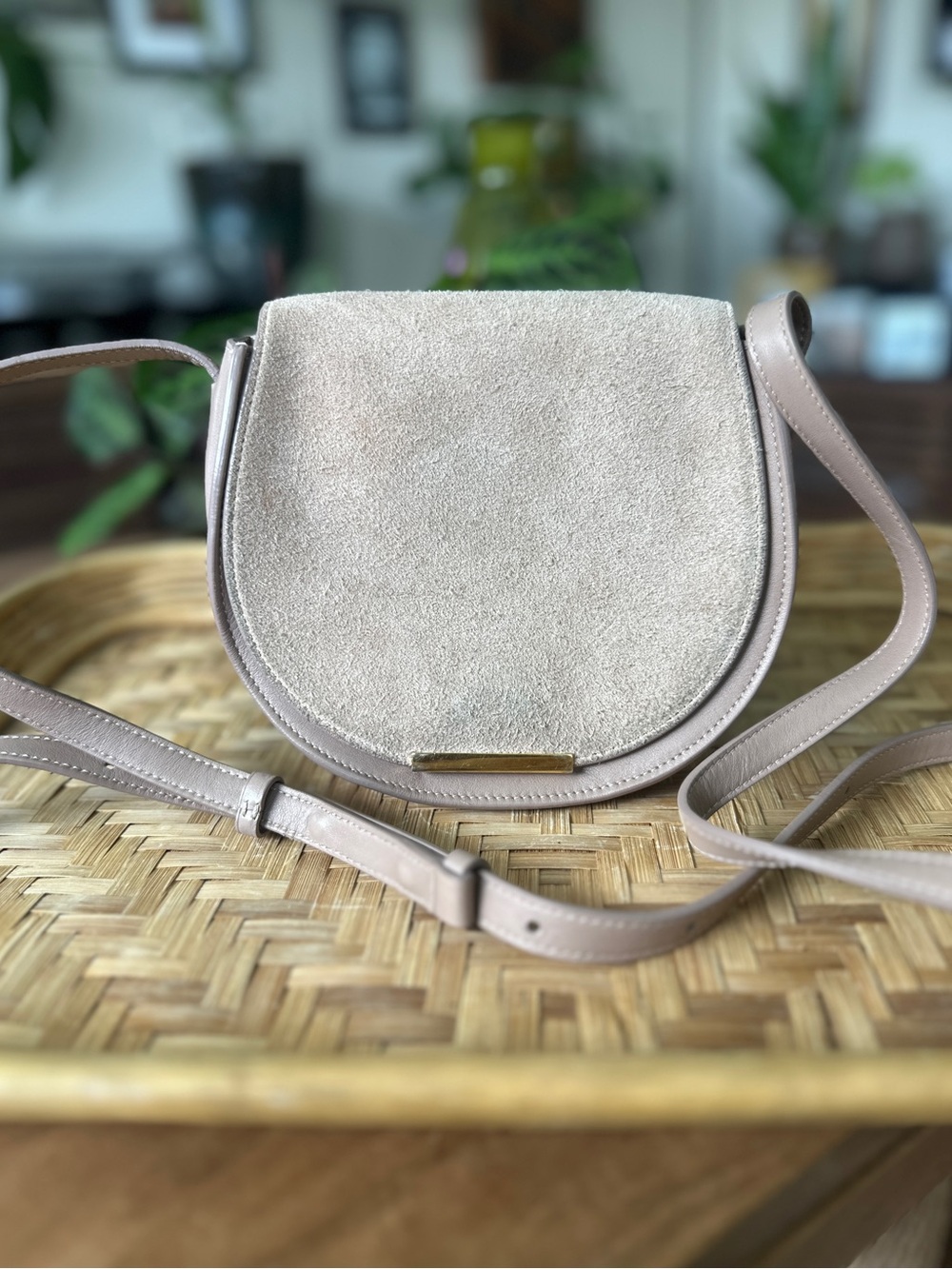 Cuyana Mini Suede & Leather Saddle Bag in Neutral Taupe / Blush